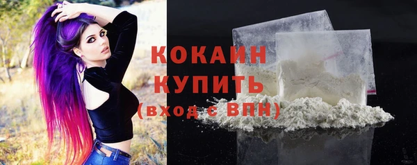 спиды Аркадак
