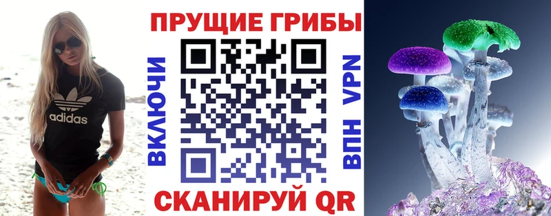 купить наркотик Грязи Псилоцибиновые грибы мухоморы